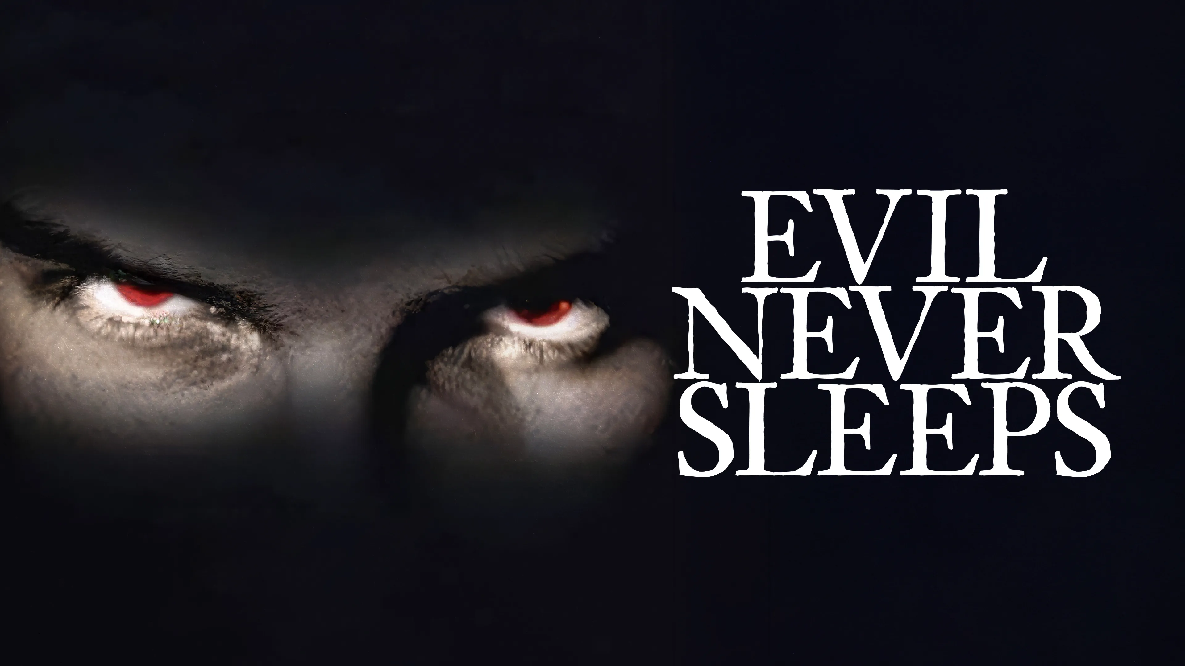 Evil Never Sleeps poster